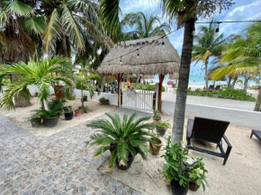 Casa Playa Ocean Front